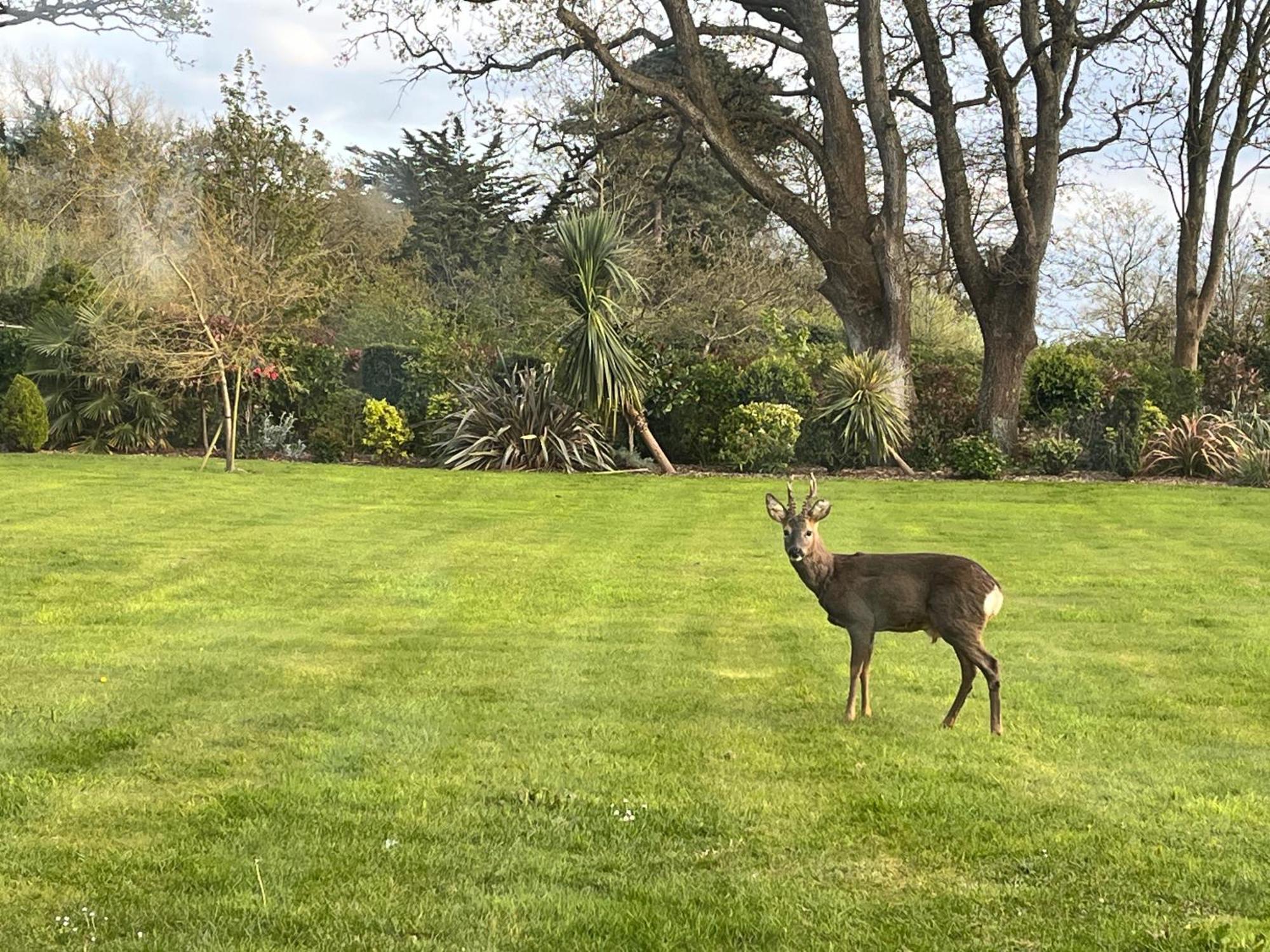 Stay At 'The Elms' In Tranquil Church Norton, Selsey - Ground Floor Bedroom, Own Private Bathroom, Quiet Beach, 2 Acre Garden By The Sea, On Edge Of Wildlife Nature Reserve Exterior foto